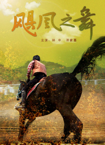 视频免费观看一区二区